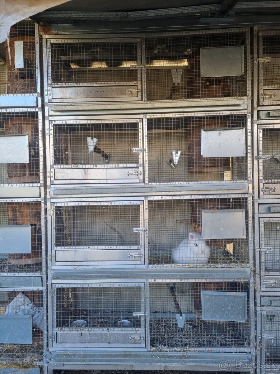 Voliéry..Klietky.Zajačník - 12
