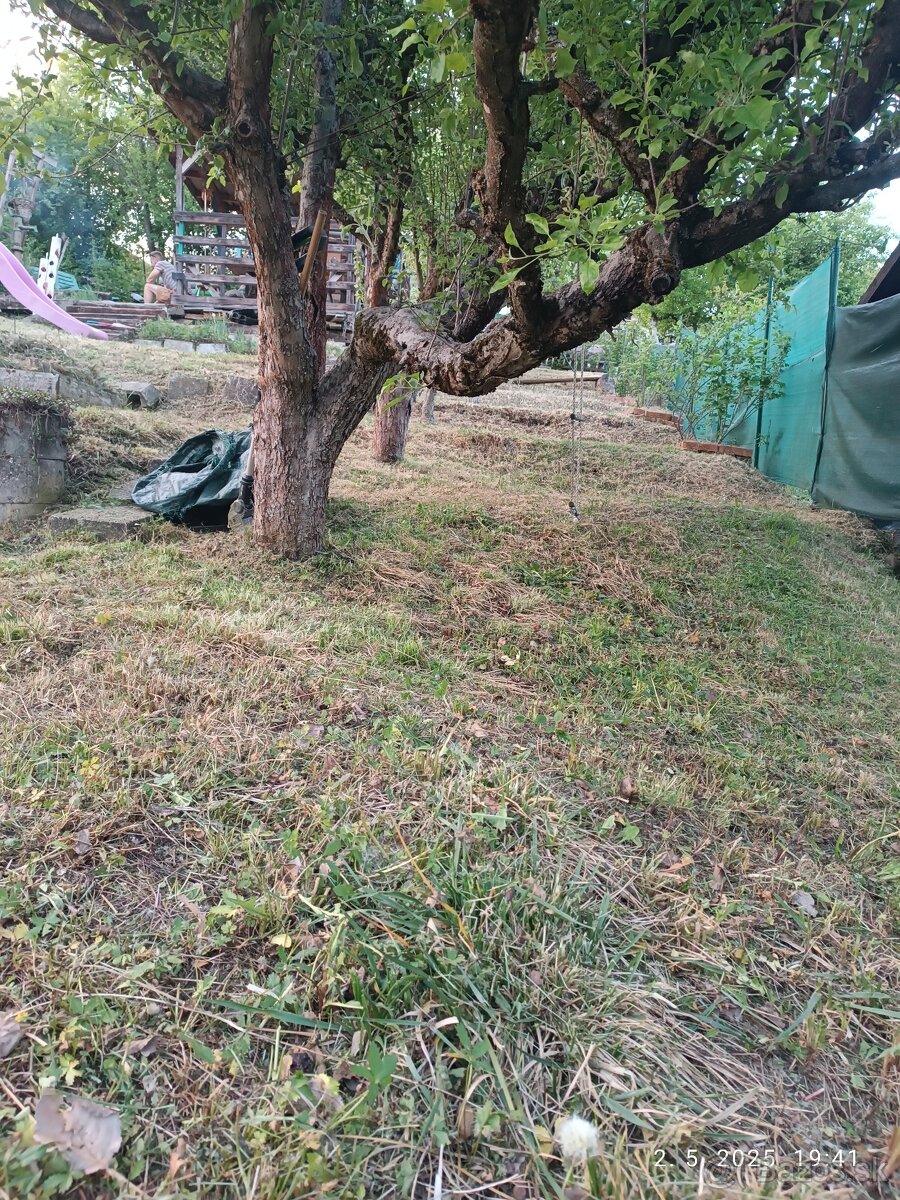 PREDÁM/VYMENÍM záhrada ,, Sad 600 - ročnica,, - 12