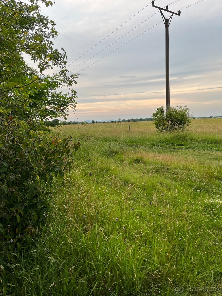 Na predaj pozemok o rozlohe 292000 m2 s poľovníckou chatou - 12