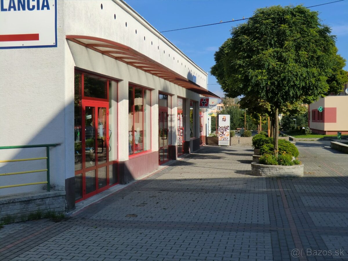 Obchodné priestory pešia zona Prievidza - 12