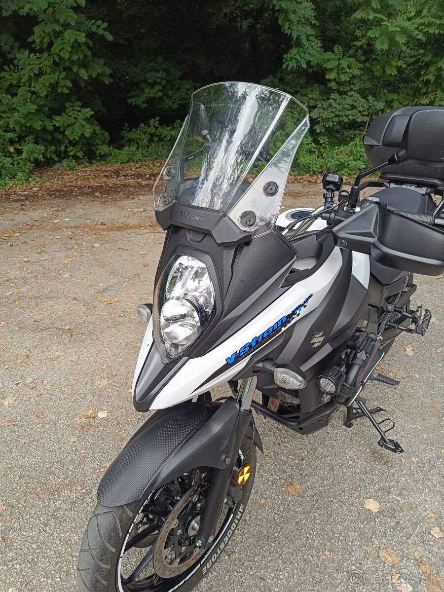Suzuki v strom - 12