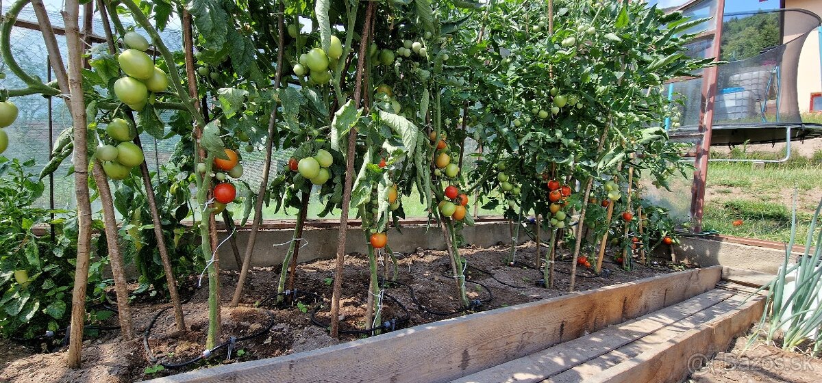 Dubina III. murovaná chata s pozemkom 368m² - 12