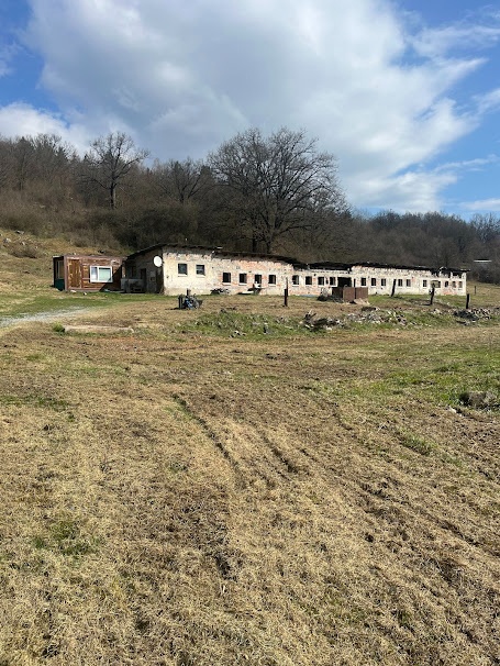 Predaj zrubu s pozemkami na farmársku usadlosť v Zvolenskej - 12