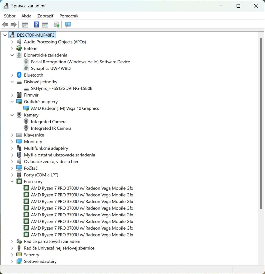 Thinkpad T495/Ryzen 7 Pro 3700U/16GB RAM/FHD IPS/512GB SSD - 12