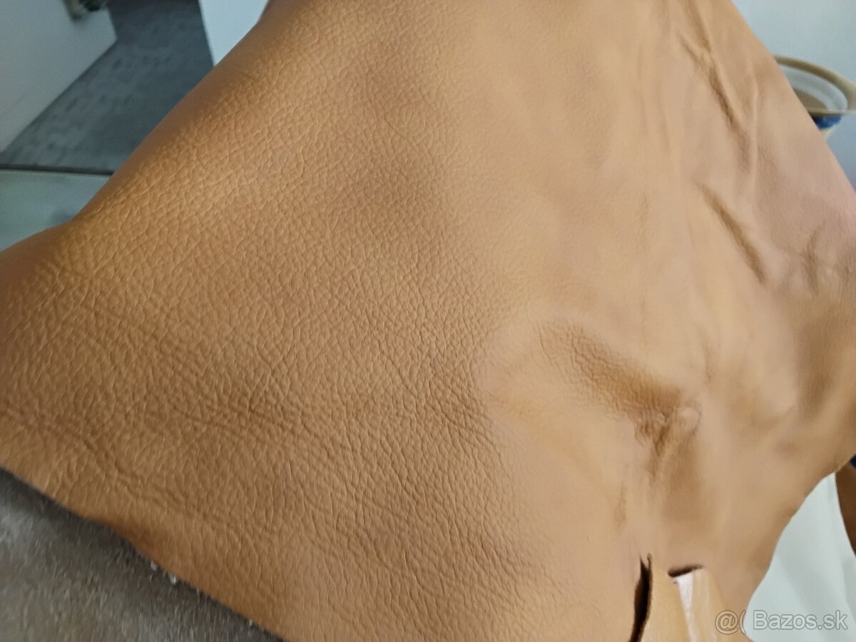 Čalunicka koža - 12