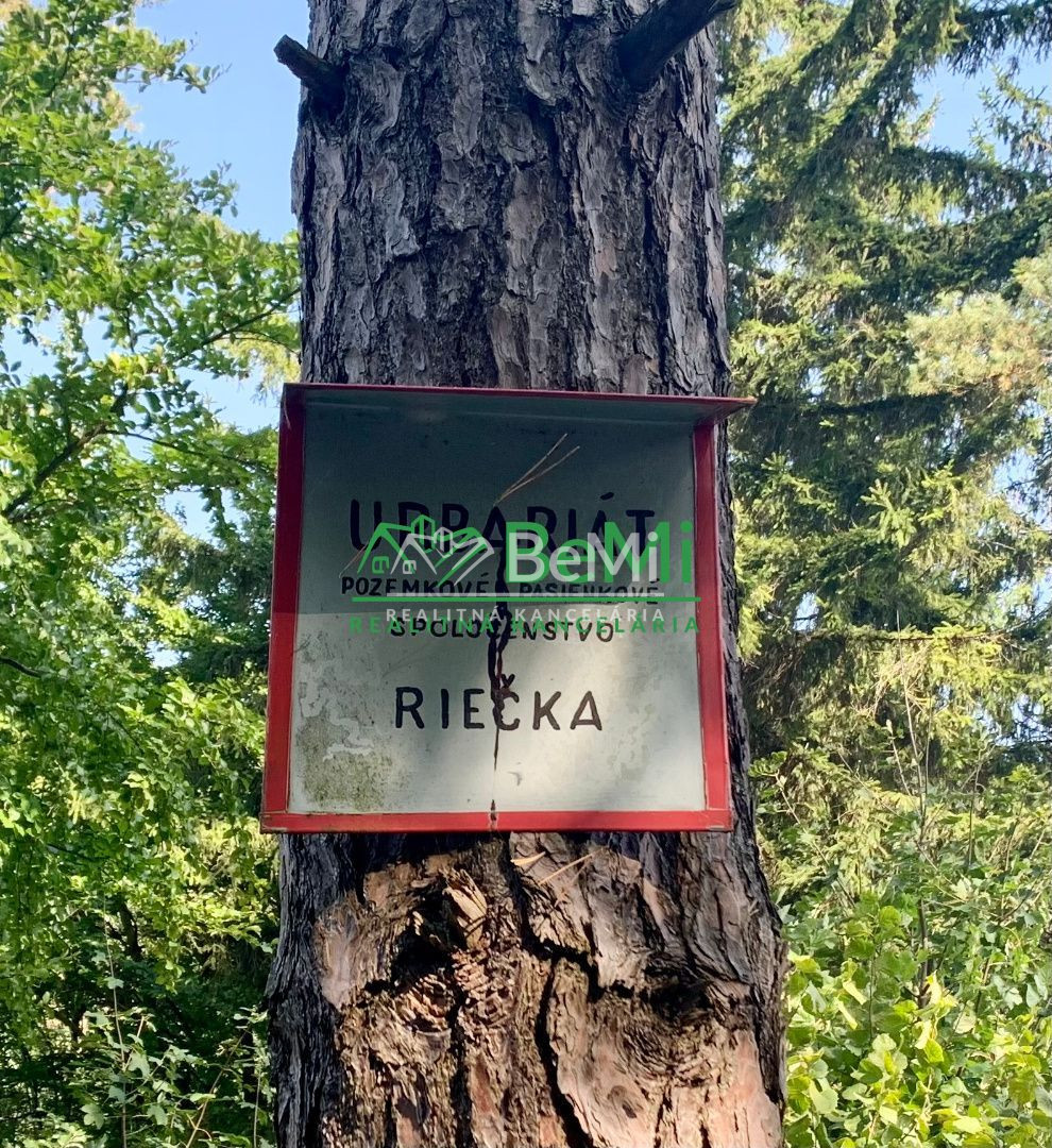 Výhodná ponuka, záhrada 320 m2, Riečka, Banská Bystrica - 12