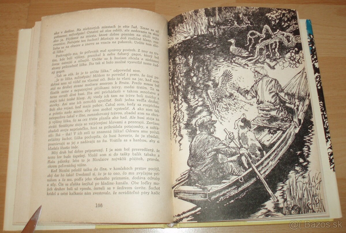 Srny svätého Antona - 12