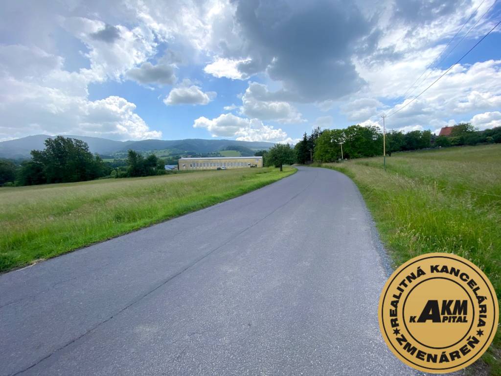Pozemok na predaj, 13 237 m2 Slatinské Lazy, okres Detva - 12