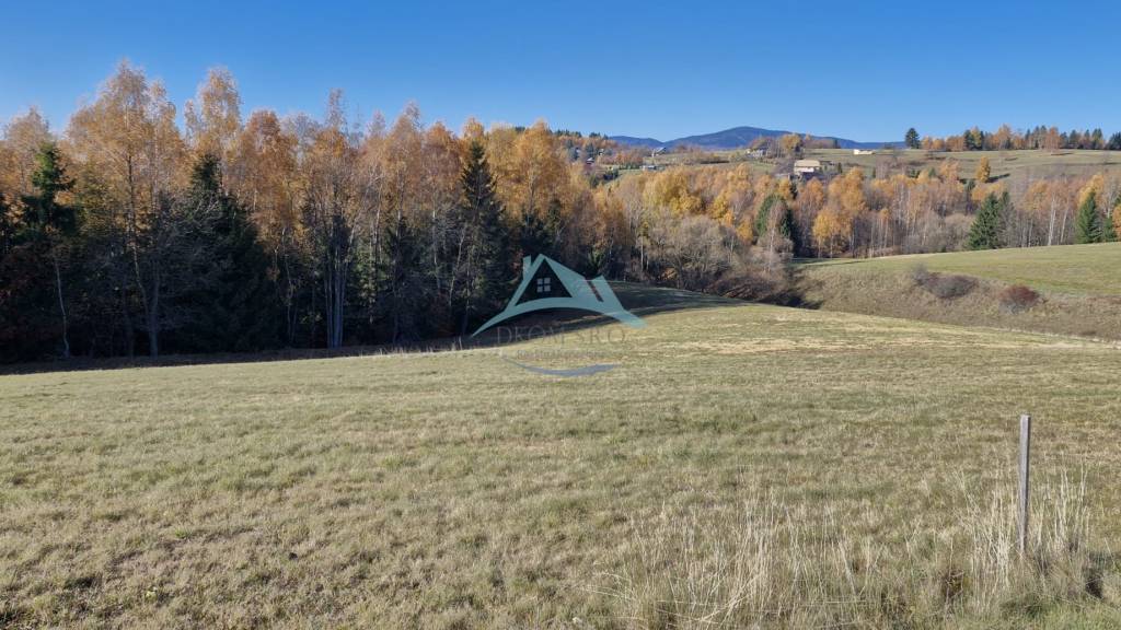 Pozemok (7750m2) s výhľadom na Nízke Tatry v obci Detvianska - 12