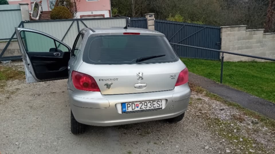 Peugeot 307 - 12