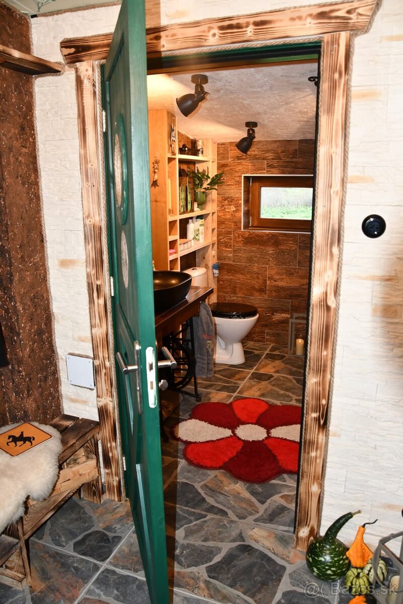 USTAJNENIE / JAZDENIE - 12