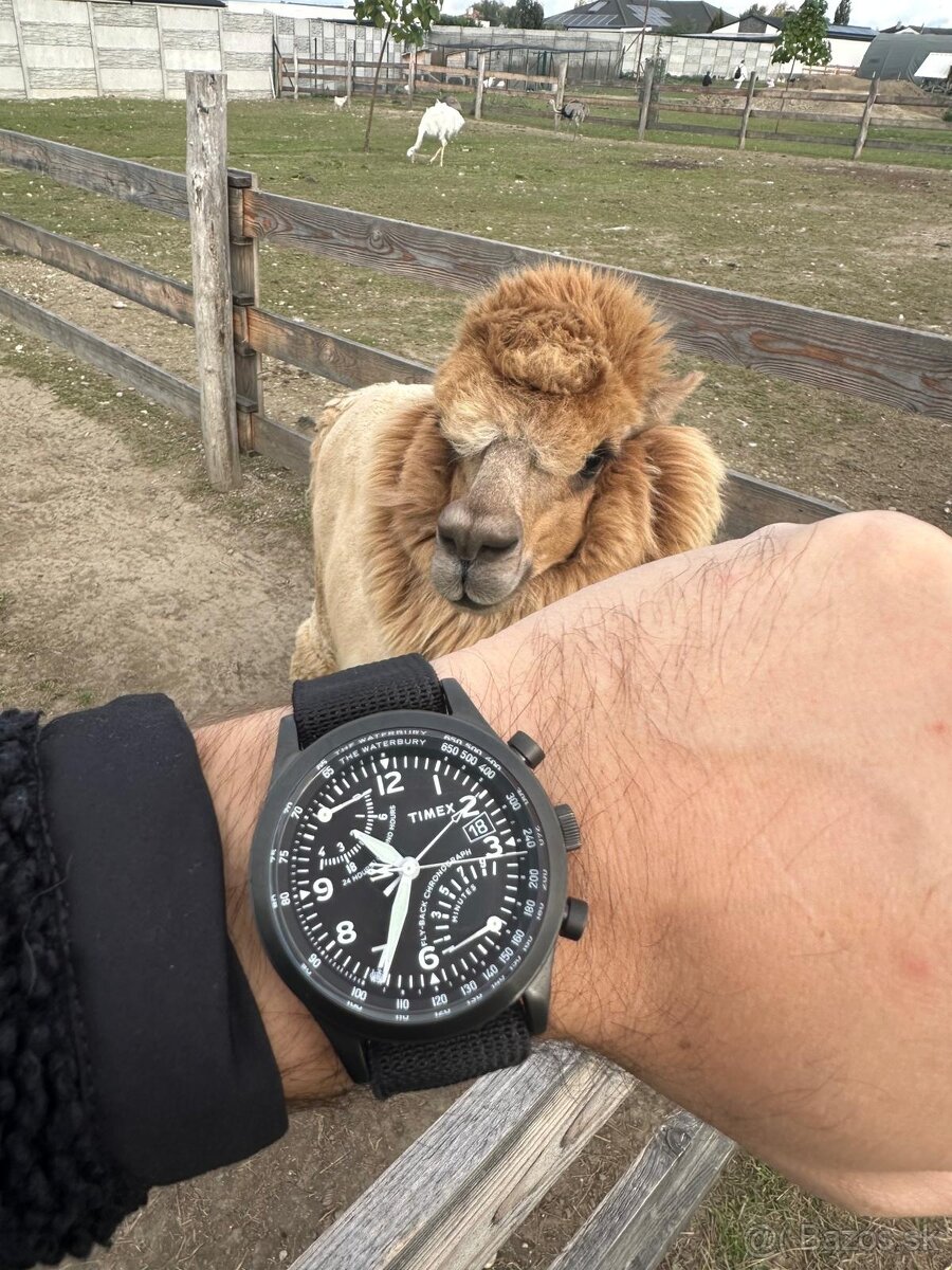 Timex Chrono - Waterbury Flyback Chrono full set + extras - 12