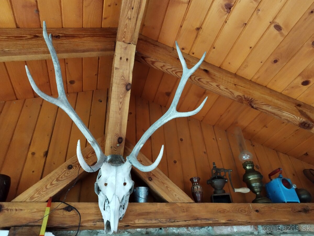 Dva rodinne domy - 12