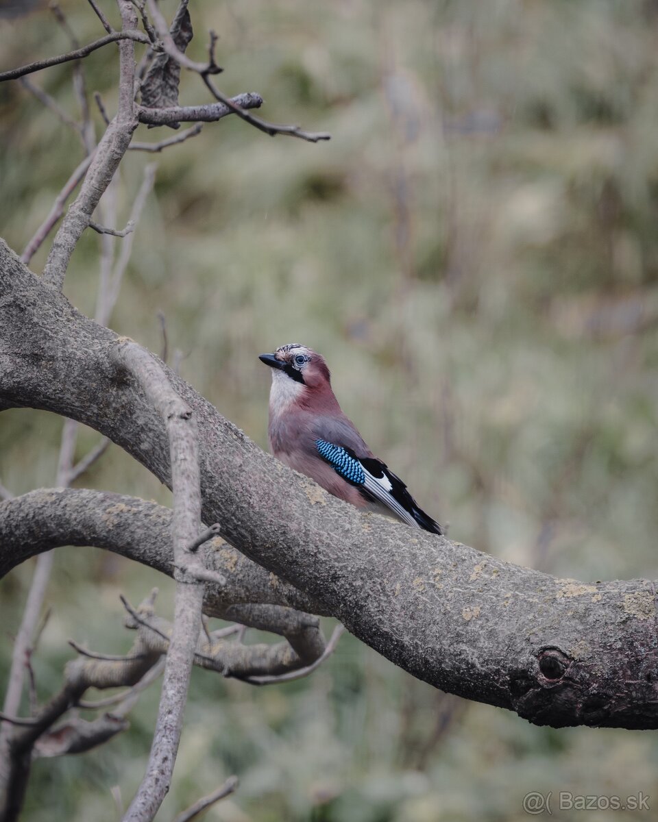 Bezzrkadlovka Canon R6 mark I - 12