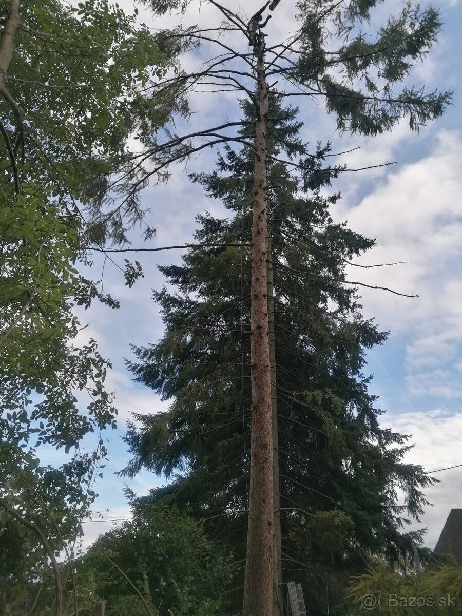 Rizikové orezávanie a výrub stromov, kosenie údržba záhrad - 12