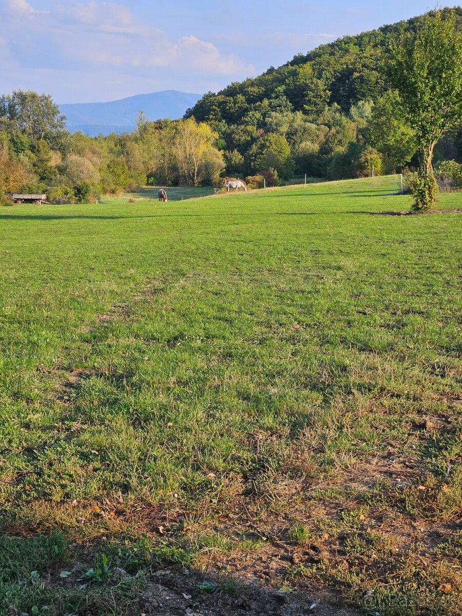 ustajnenie koni, vychadzky vodenie pre deti - 12