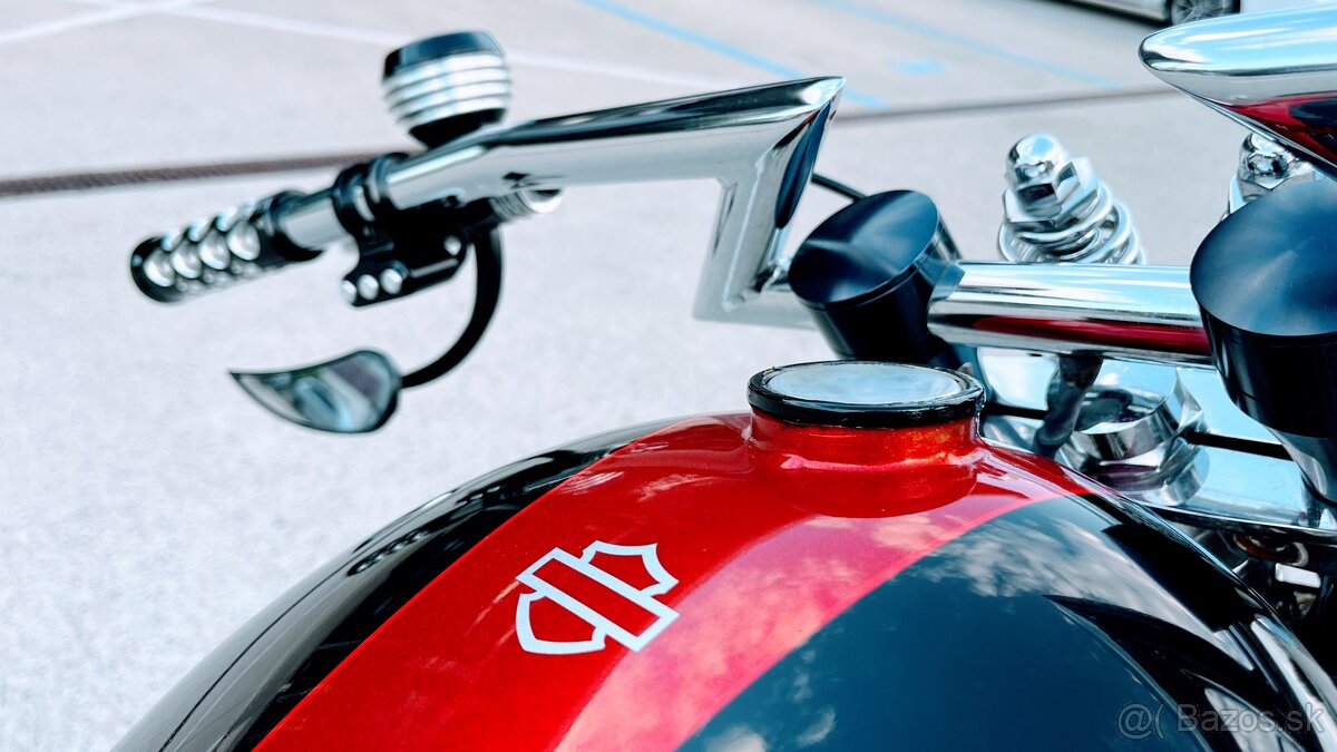 Harley Davidson Custom 300 - 12