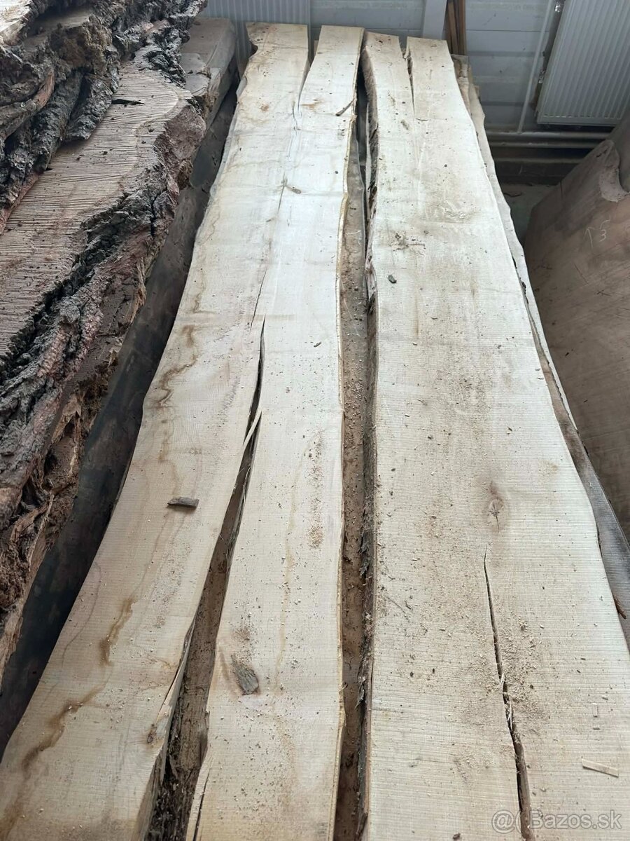 Vysušené javorové fošne, javor horský - 12