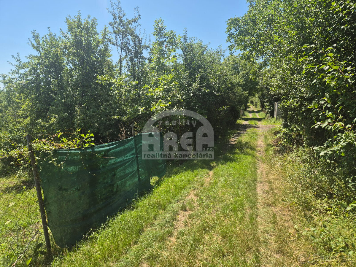 Pozemok v záhradkárskej oblasti Sečovce, časť Vinice - 12