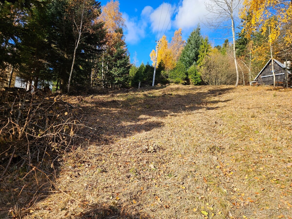 Predam chatu s pozemkom 1978m2 Drienica - 12