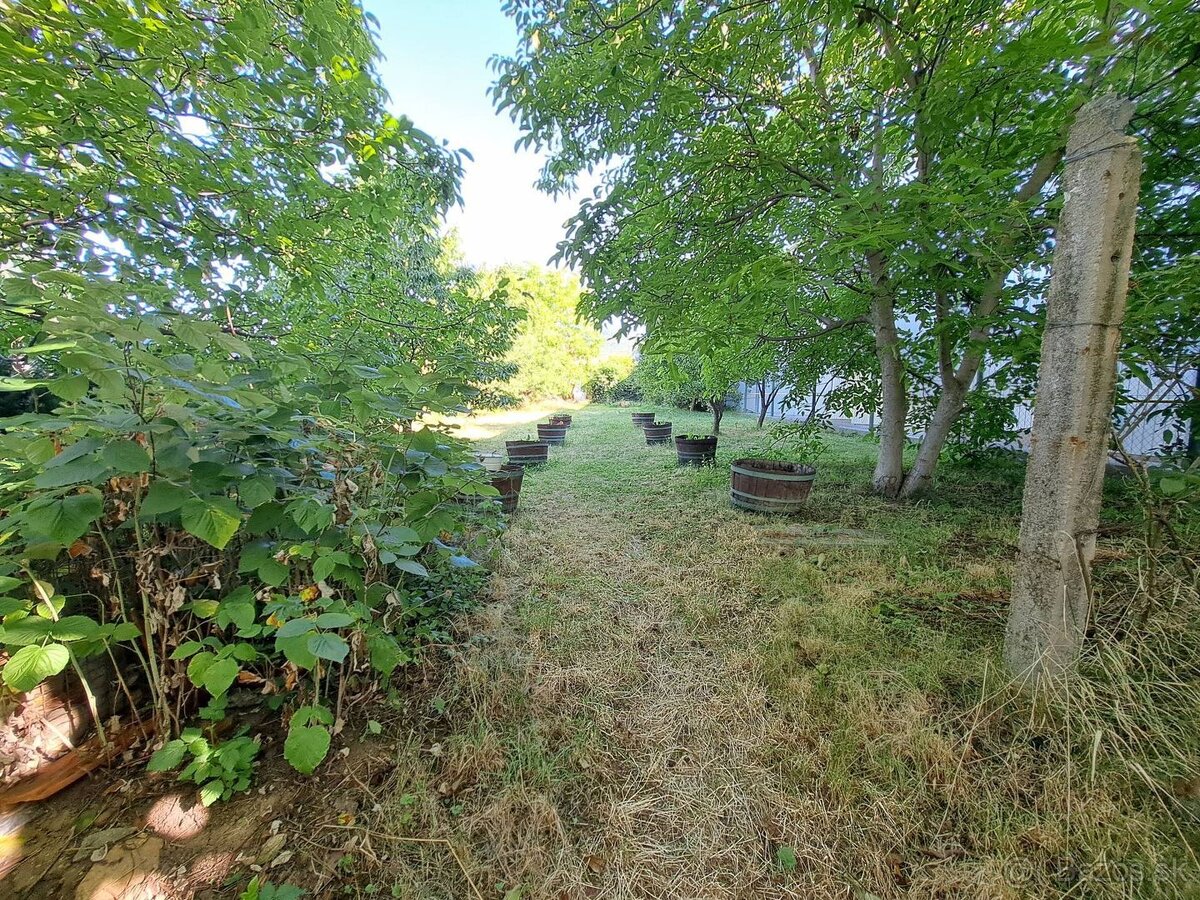 Predaj domu Nitrianske Hrnčiarovce - 12