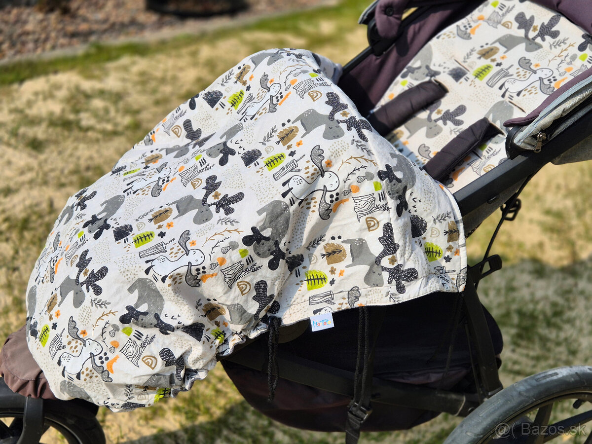 Thule Urban Glide 2 - 12