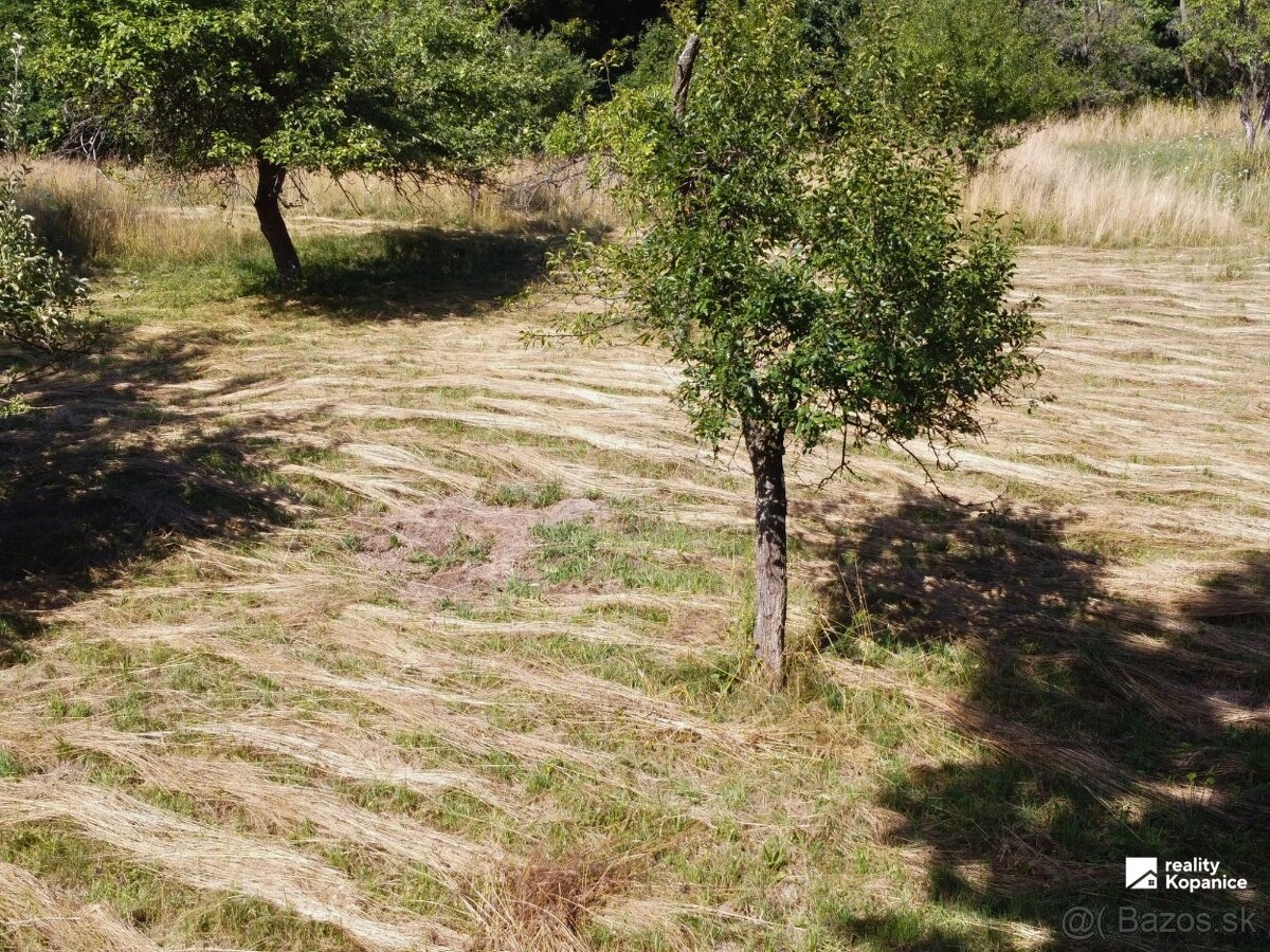 Malý domček, pokojná ulička, veľký pozemok a stodola - 12