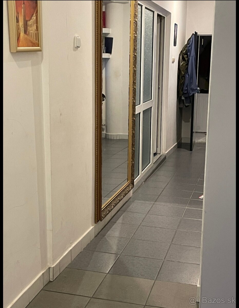 Dom s veľkým pozemkom + veľké priestory - 12