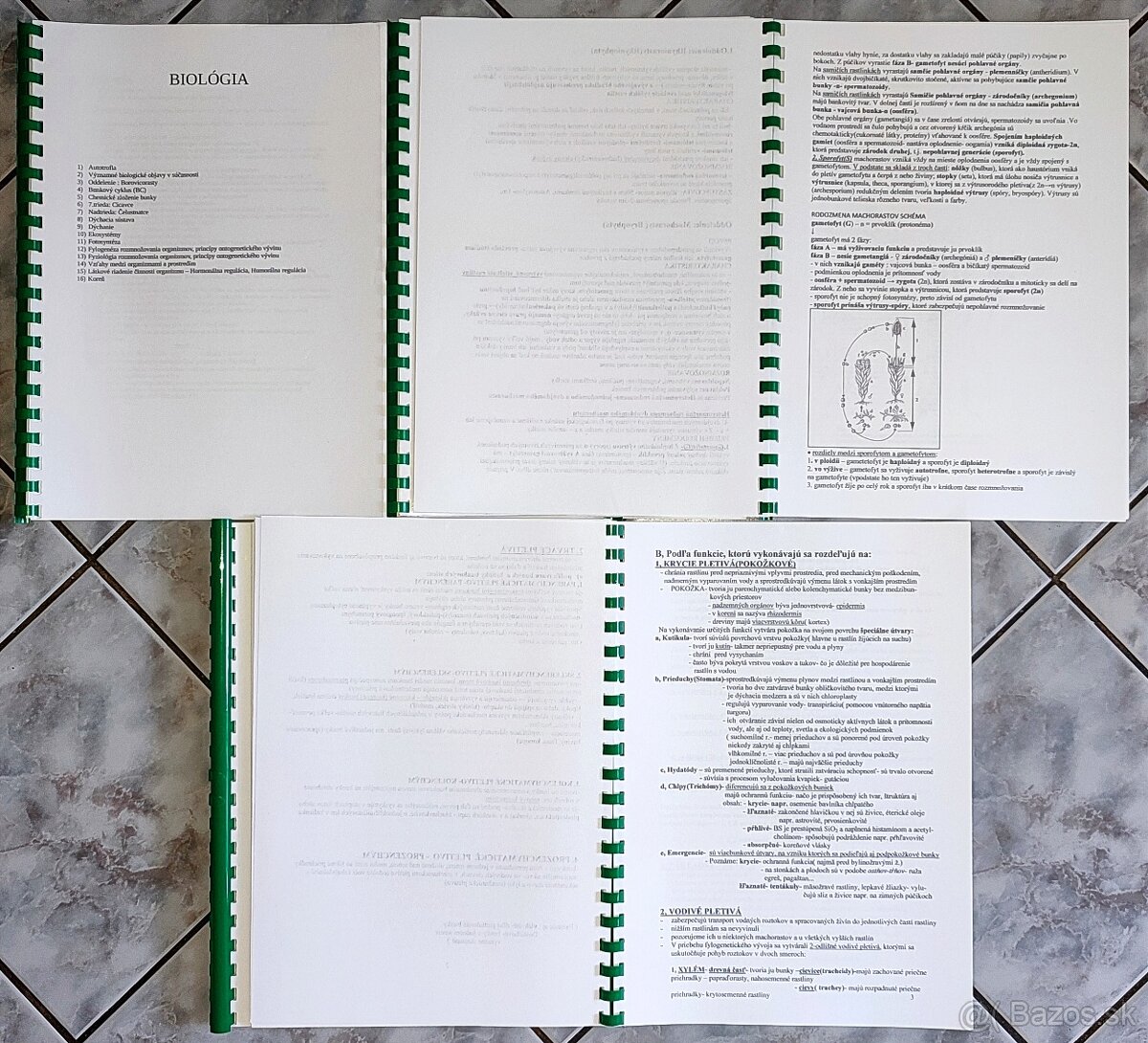 Prijímačky na LF do Čiech - 12