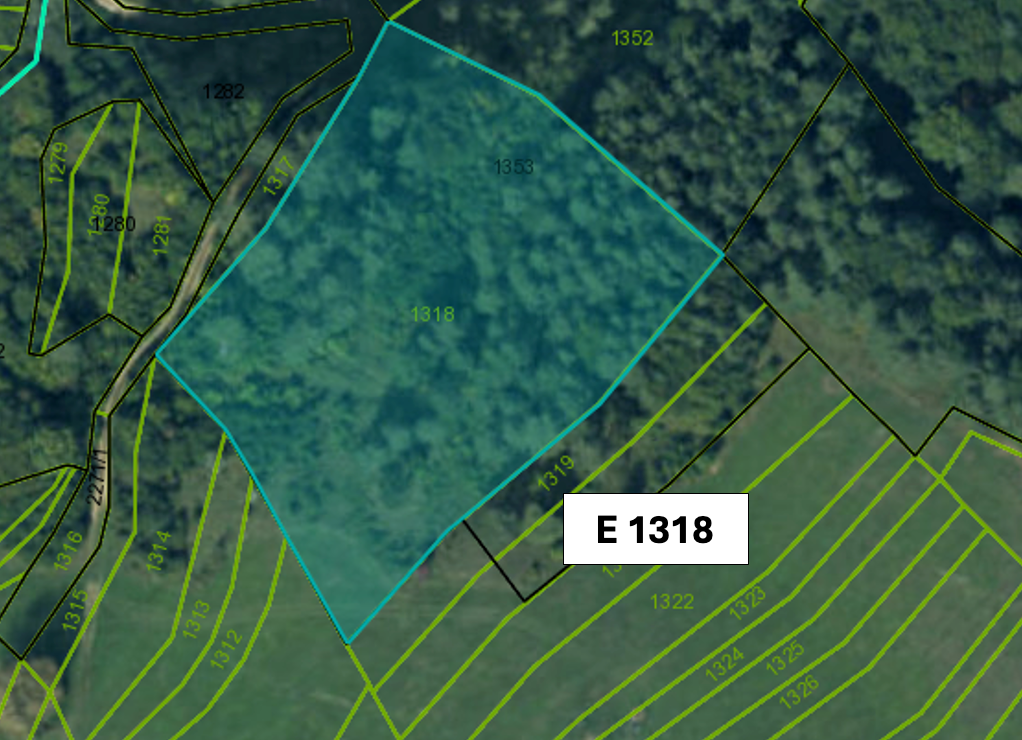 Omastiná – 9.909 m2 LESY a PASIENKY – PREDAJ - 12