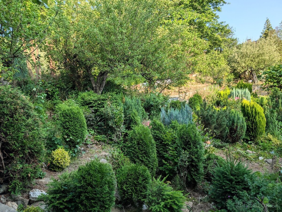 Murovaná chatka so záhradou - 12