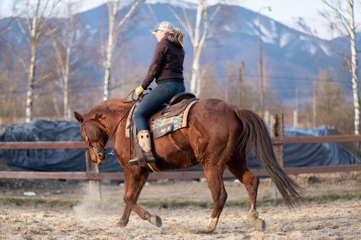 tréning koní - obsadanie - 12