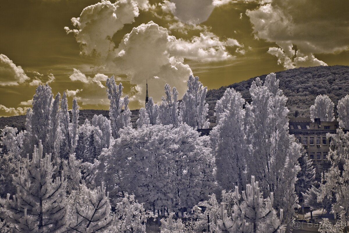 Olympus E-M1 - po IR konverzii 720 nm - 12