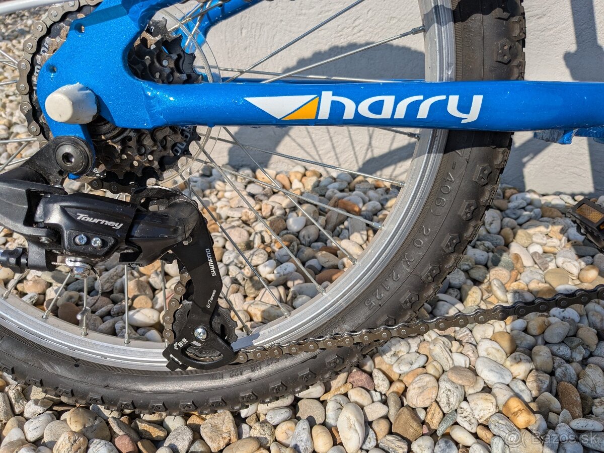 Detský bicykel Harry ZERO - 12