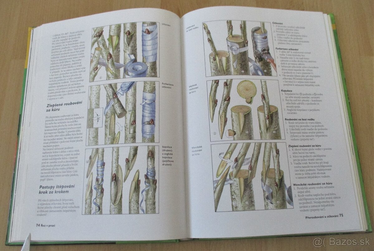 Řez ovocných stromu a keřu - 12