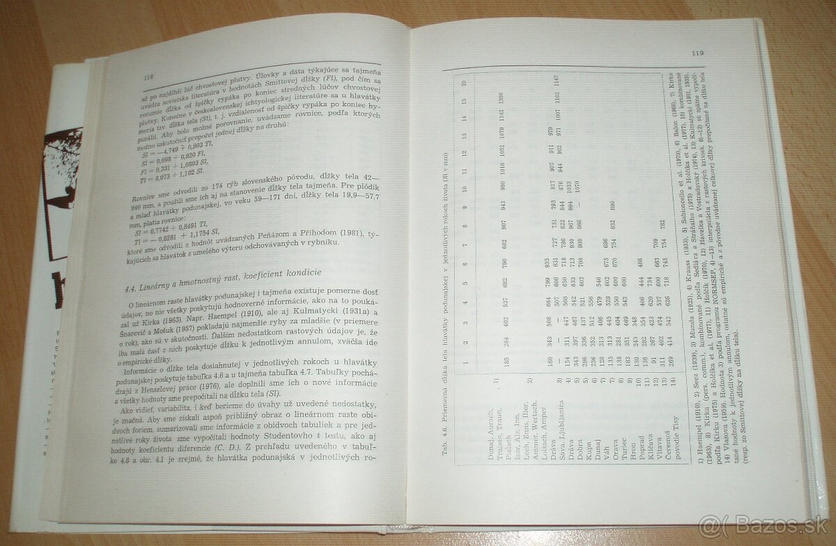 Hlavátka - 12