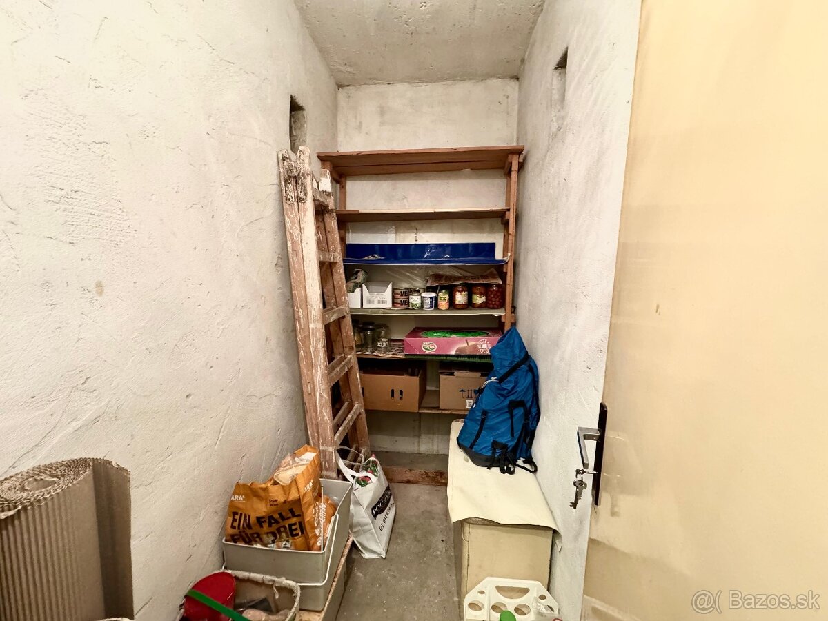 PRIESTRANNÝ 2i BYT, MIRKA NEŠPORA, HOLÍČ - 12