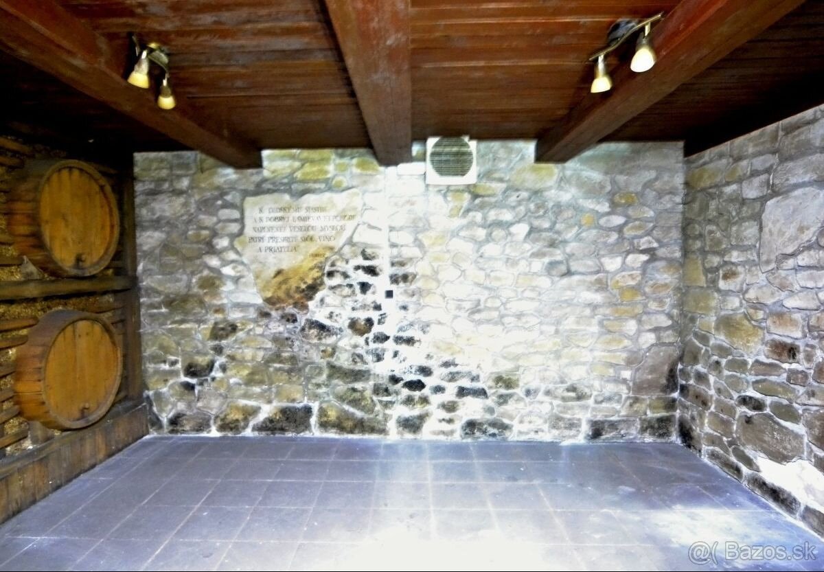 Nebytový priestor – bývalá reštaurácia, Trenčín - 12