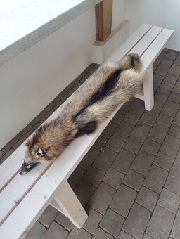 Ovčie kožušiny - 12