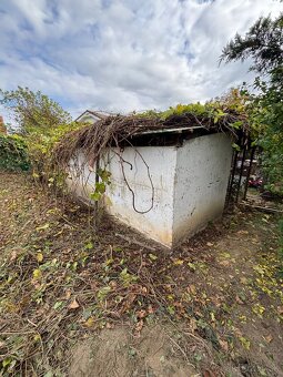 Odvoz odpadu / vypratávanie / Búranie - 12