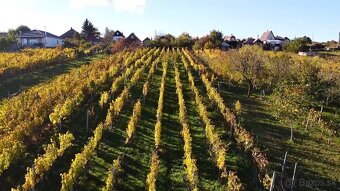 Rekreačný domček s vinicou vo Vrábľoch na predaj - 12