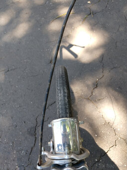 Sobi 20 - 12