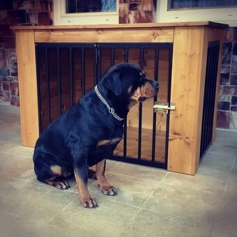 Drevená klietka pre psa - 12