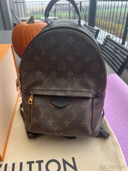 Louis Vuitton Palm Springs PM Backpack - 12