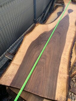 Orechove forsne z krásnou kresbou - 12