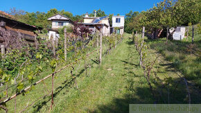 Slnečný vinohrad so záhradou v Holíči na predaj - 12