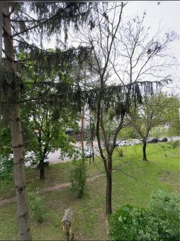 Prenájom1-izboveho bytu v Trnave pri Centre mesta - 12
