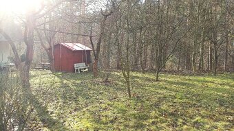 Záhrada 5ár s chatou Košice Čermeľ - 12