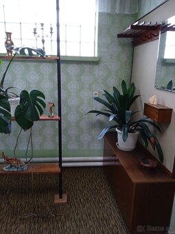 Rodinný dom Kráľová pri Senci - 12