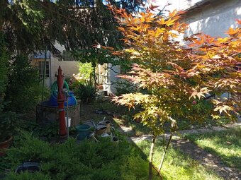 NA predaj rodinný dom v úplnom centre mesta LEvice - 12